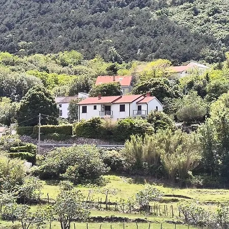 Krasulja