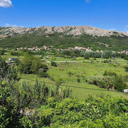 Krasulja